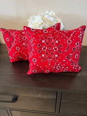 Purse Pillows set of 2